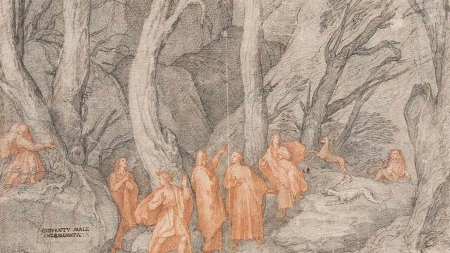 Ma la selva oscura è la fine del tunnel e l'inizio della luce