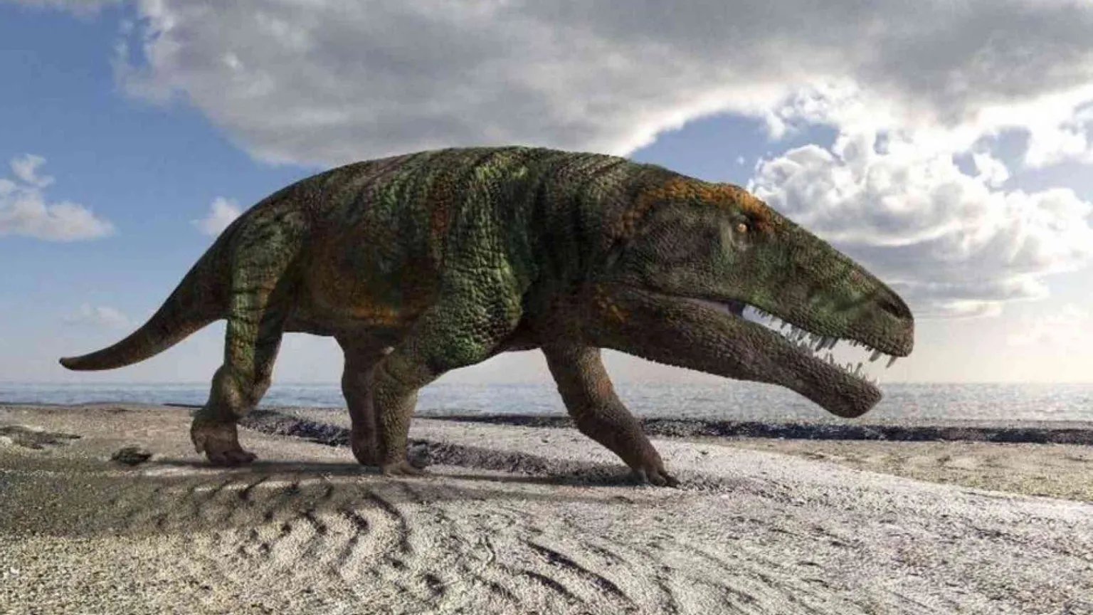 Trovate sulle Alpi cuneesi le orme di un nuovo "coccodrillo" preistorico