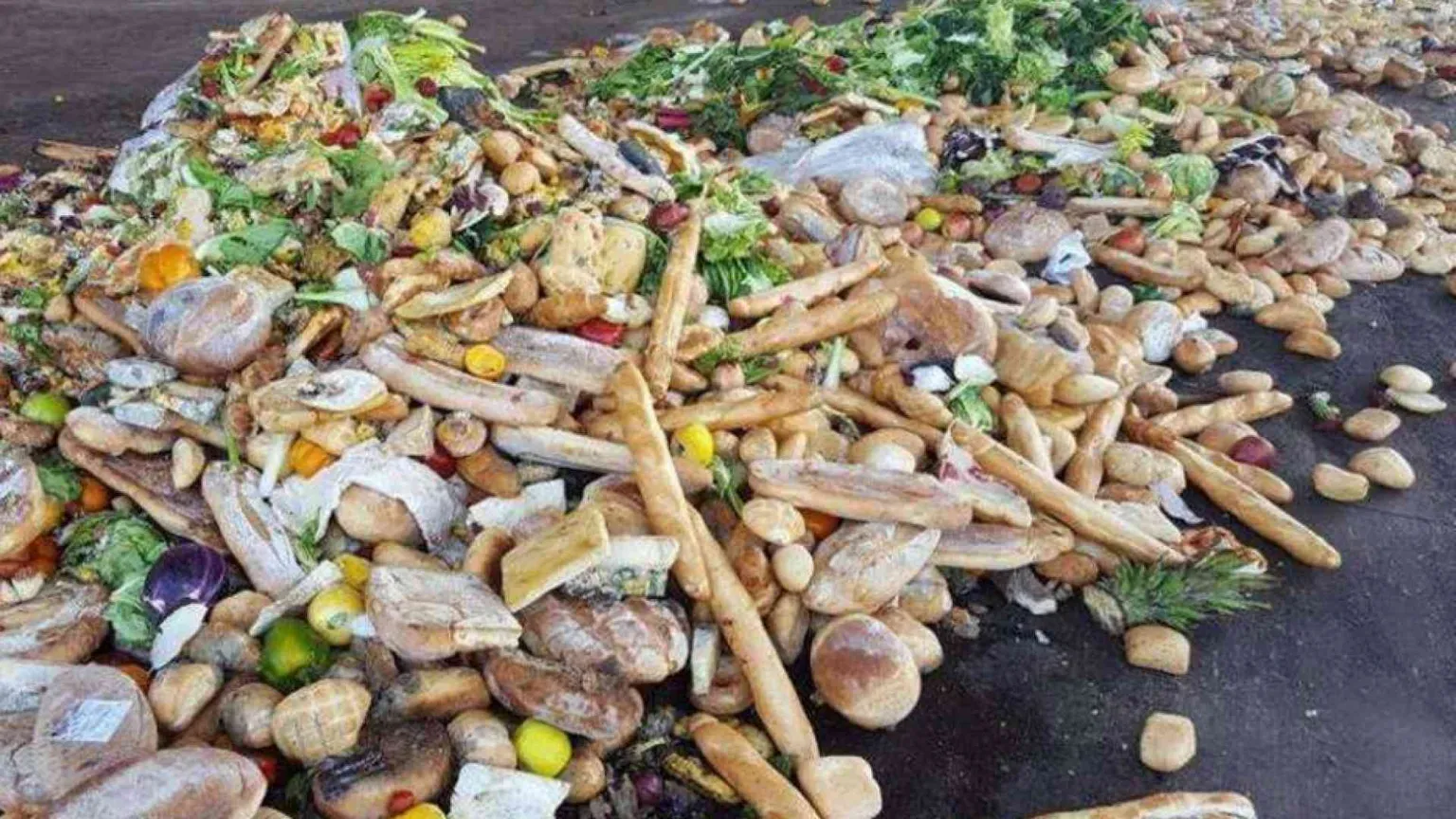 Sprechiamo ancora troppo cibo: servono nuovi atteggiamenti