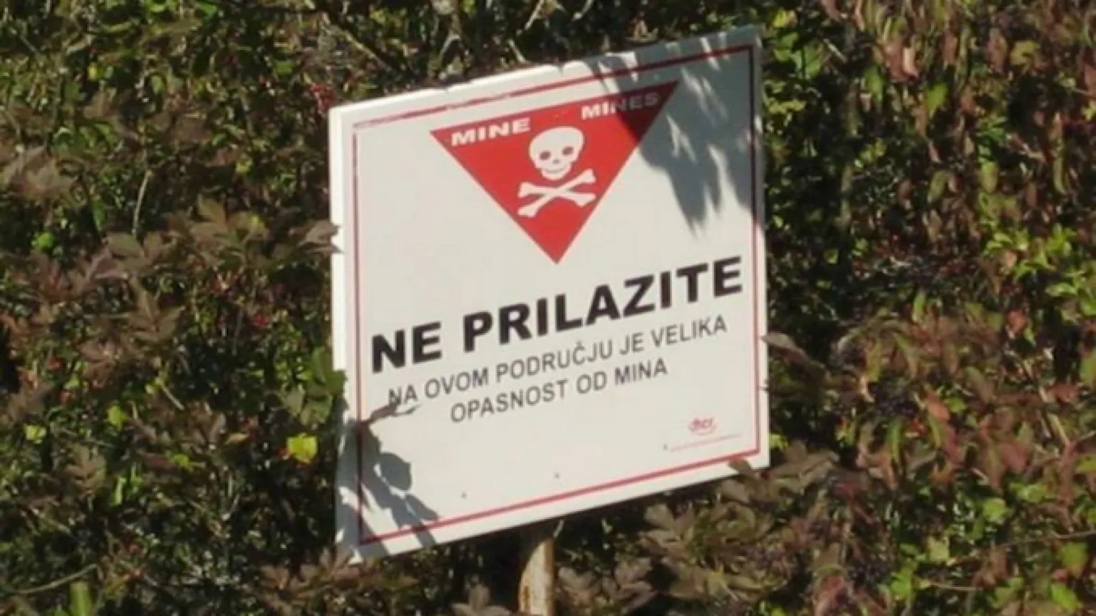 Croazia, profugo ucciso da una mina antiuomo. Una decina i feriti