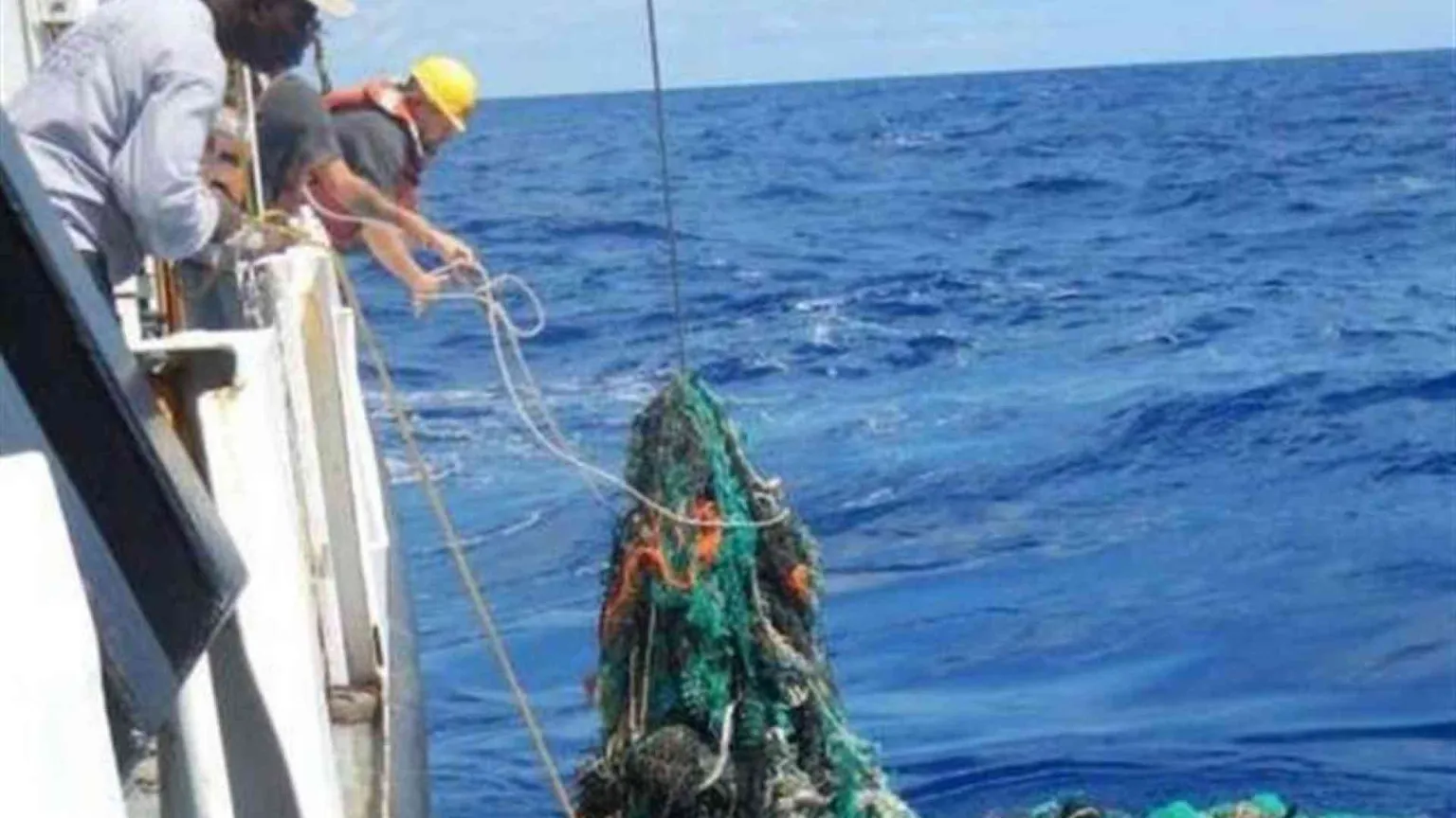Competenze "verdi" richieste per quattro assunzioni su cinque