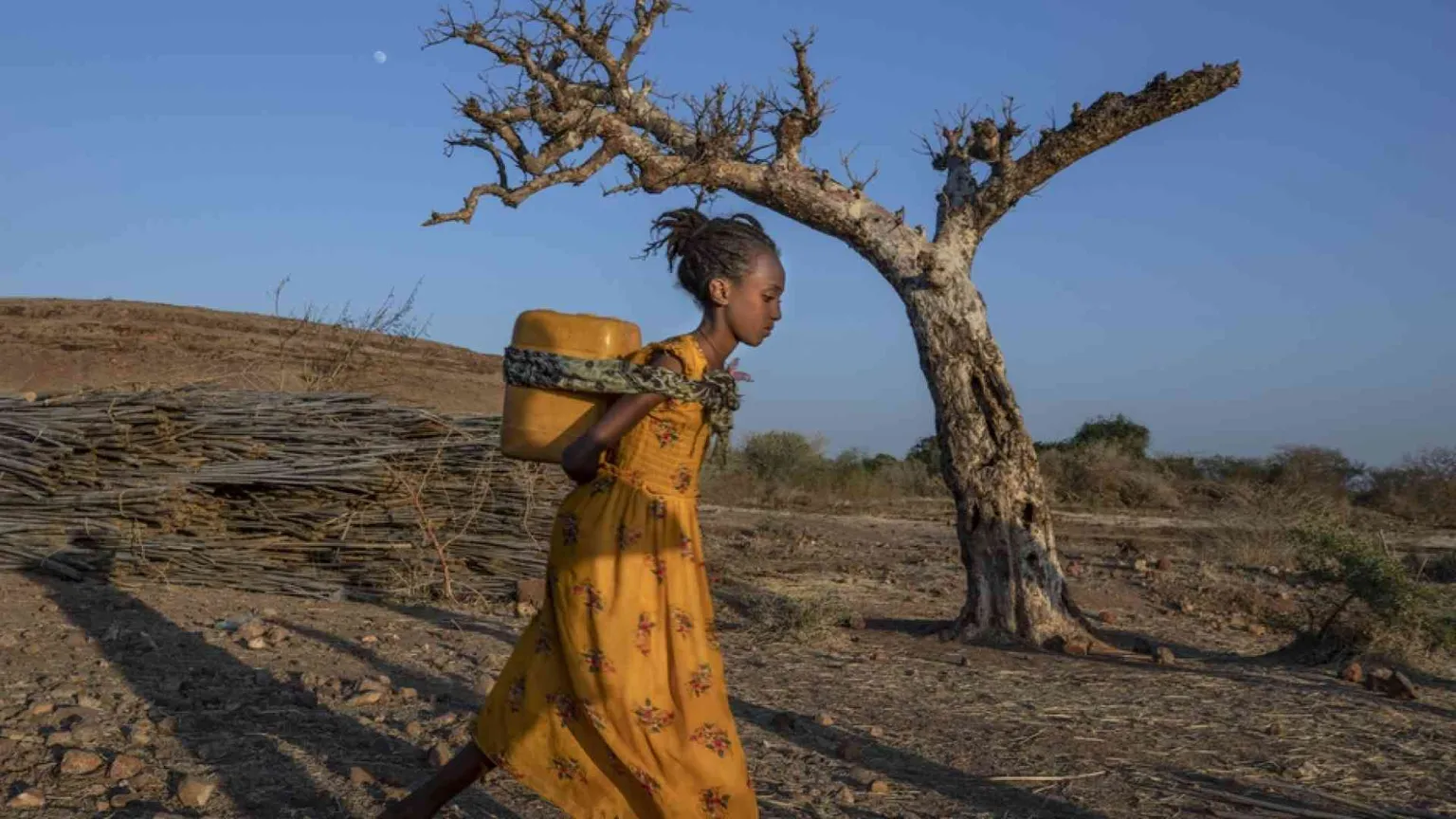 Il premier Abiy annuncia il ritiro delle truppe eritree dal Tigrai