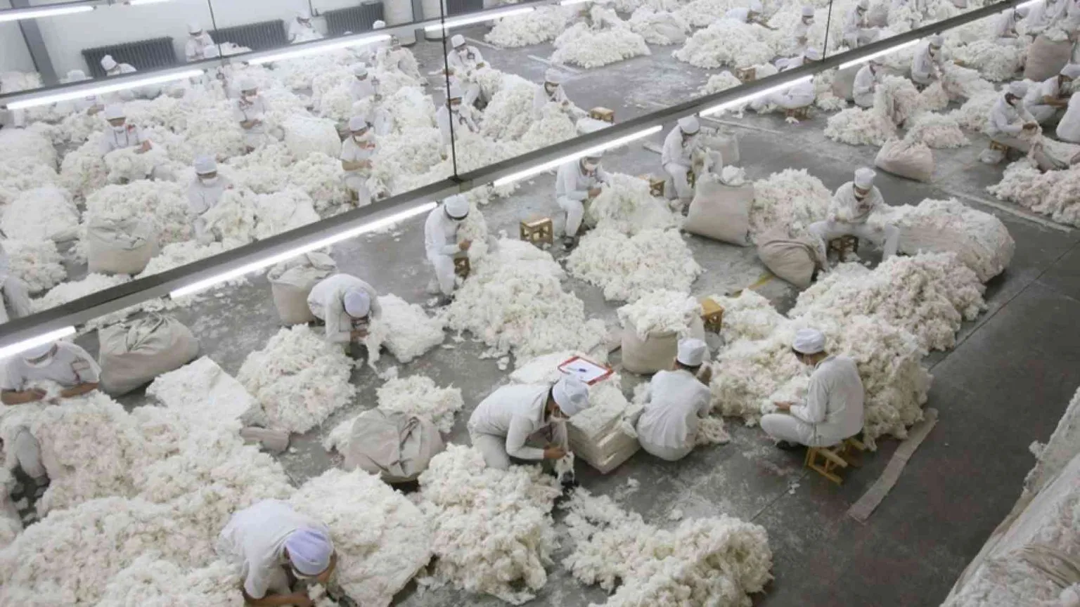 Primo stop in Italia al cotone prodotto dal lavoro forzato degli Uiguri