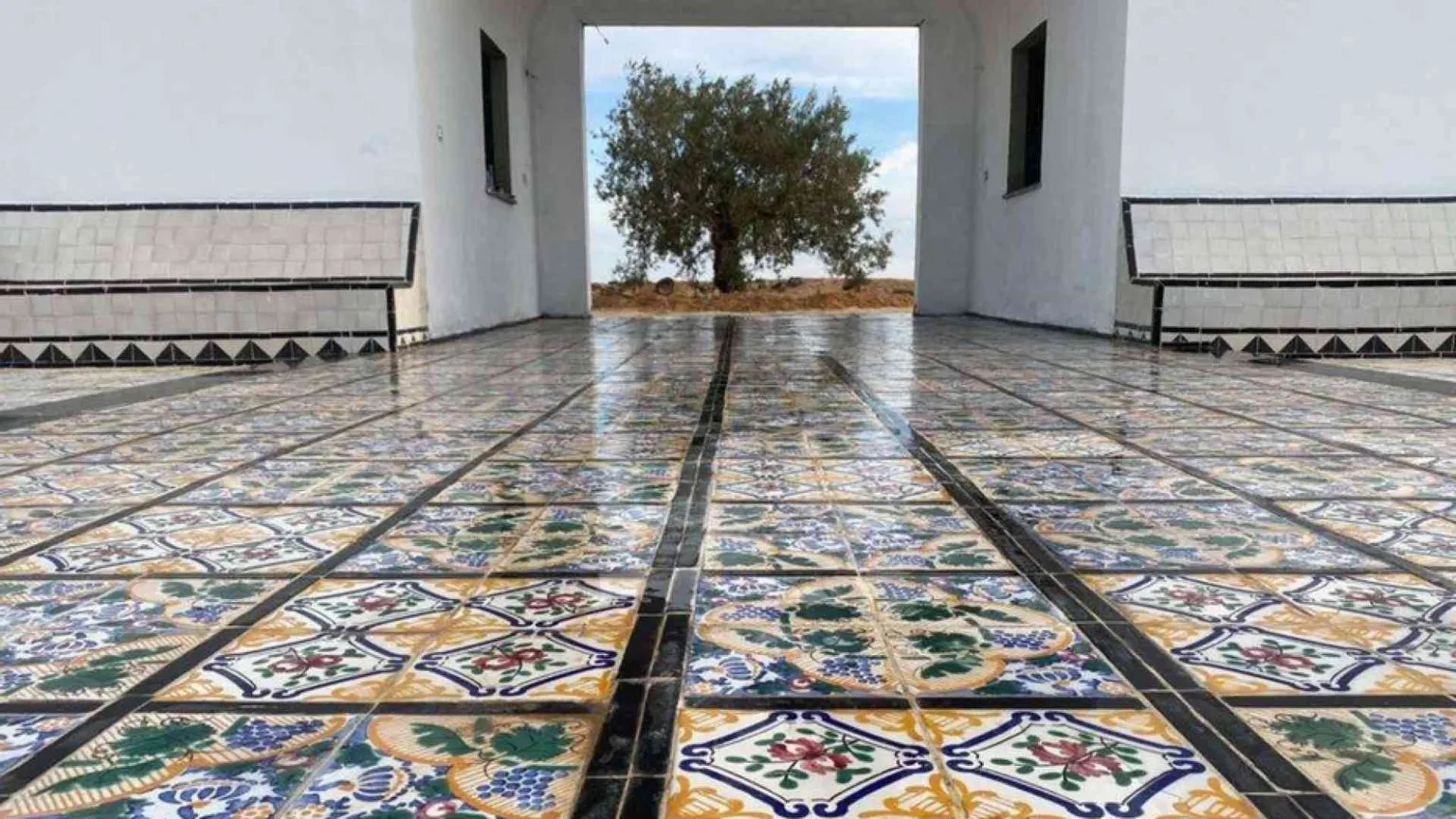 Un giardino d'Africa e l'ulivo della pace in memoria dei morti nel Mediterraneo