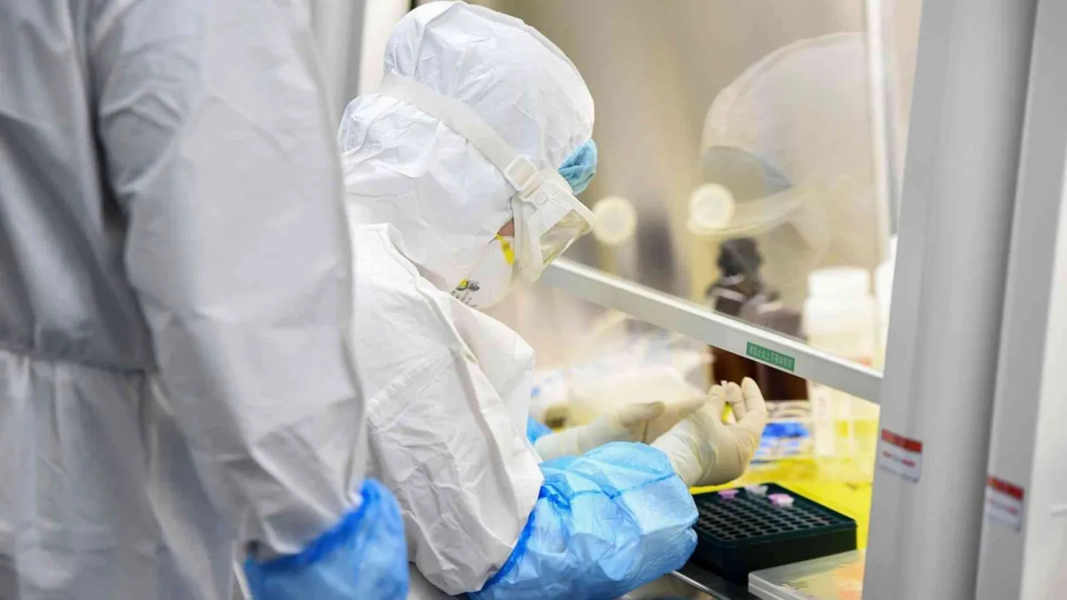 «Ritrovate le prime prove genetiche del virus di Wuhan»