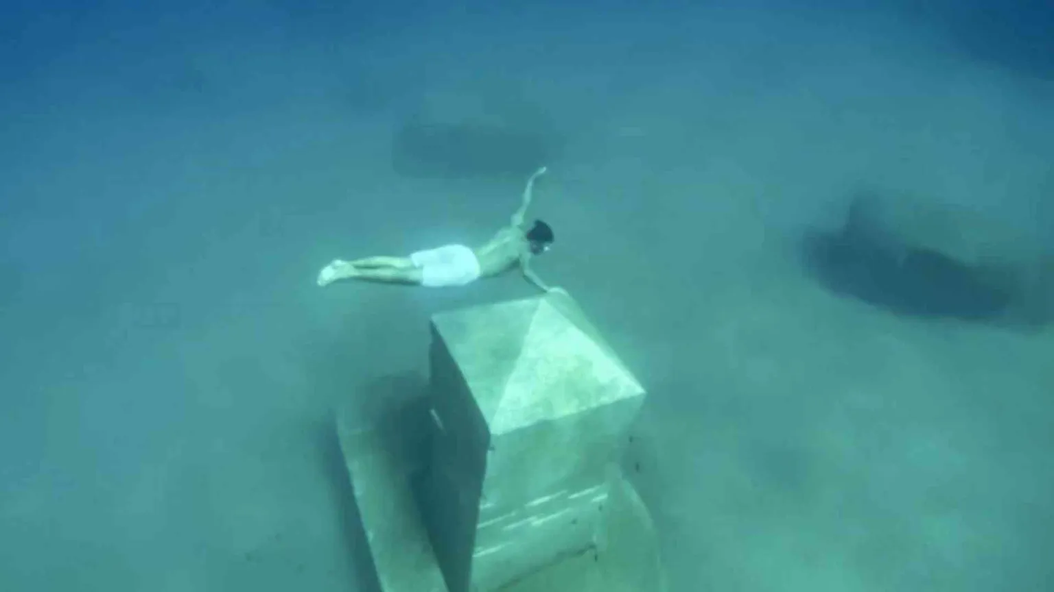Ecco la mia Casa dei pesci per salvare il mare