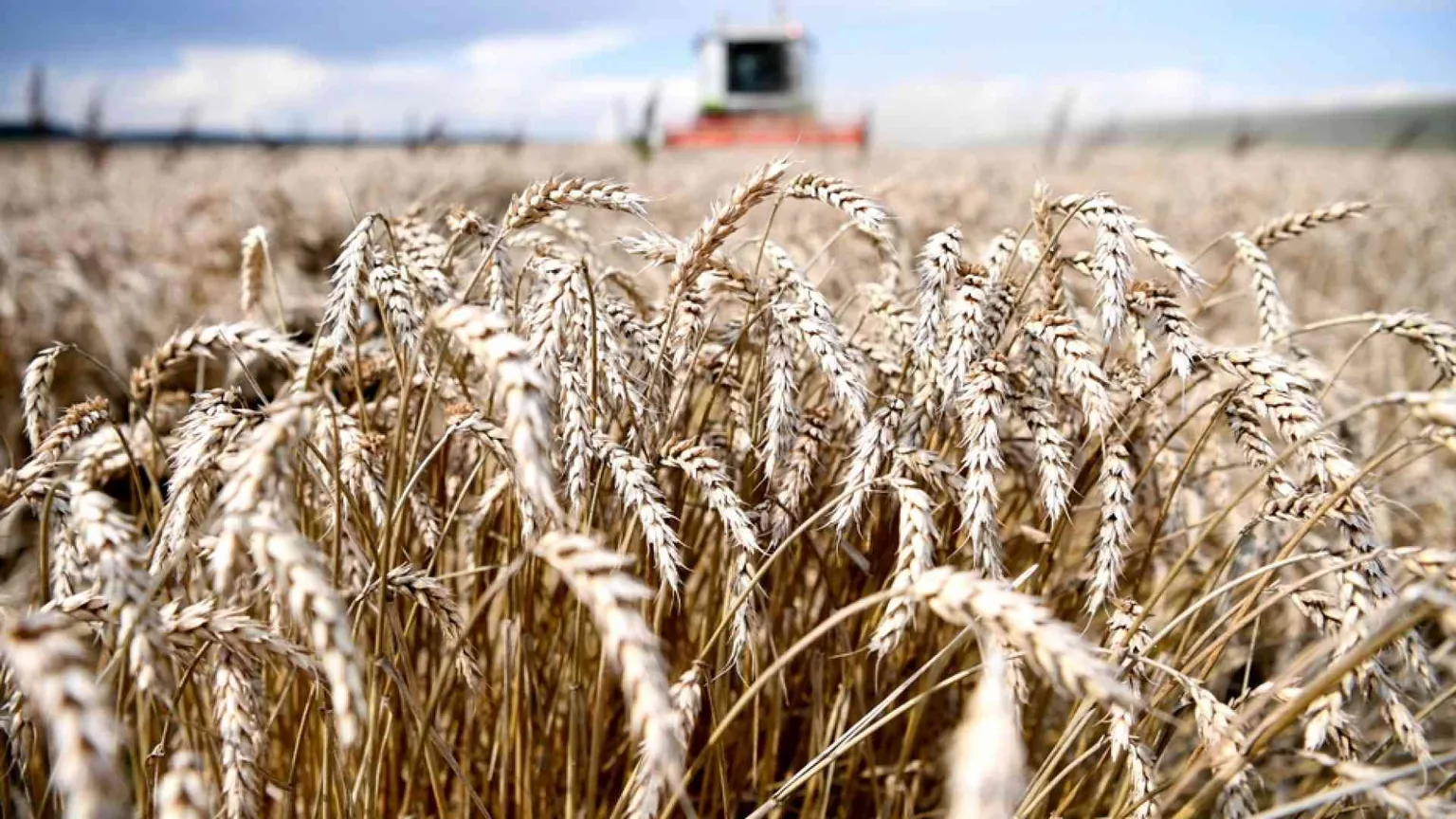 Sulla biodinamica si gioca una scelta di campo