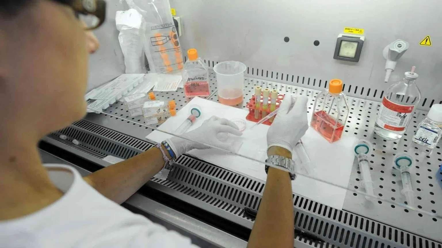 Fa discutere la «bioetica alla francese»: provetta per tutte, embrioni ibride