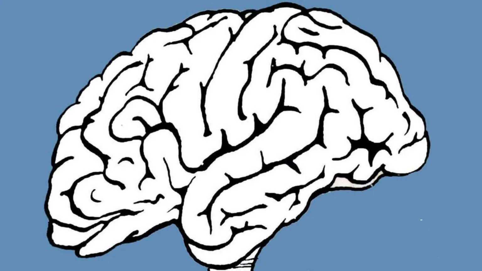 Le neuroscienze cambieranno tutto?