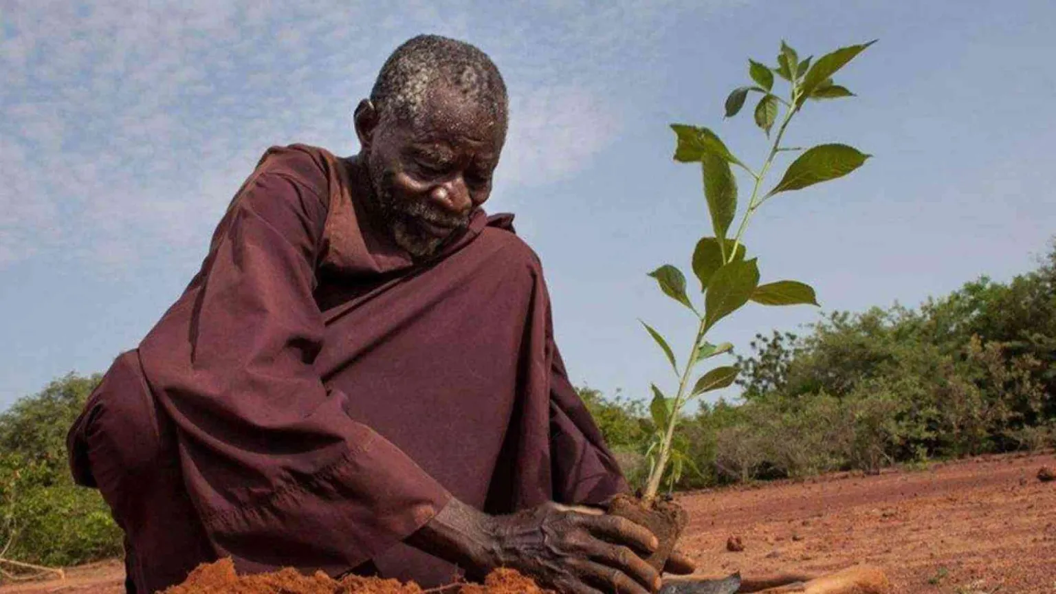 La tenacia di Sawadogo, l’uomo che ha salvato i frutti della sua terra