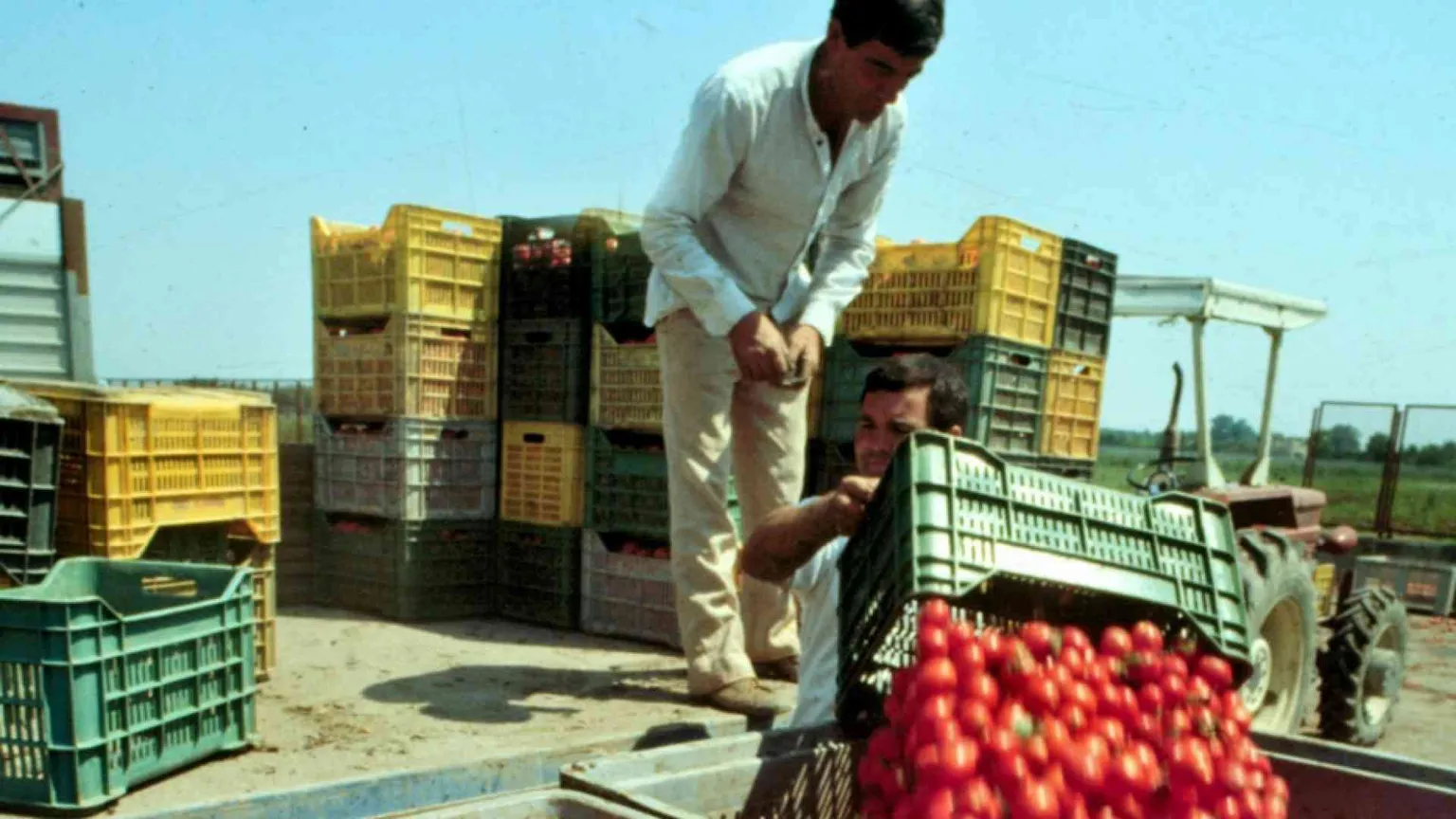 Tra gli indiani sikh dell'Agro Pontino. Lo sfruttamento (sotto il sole)