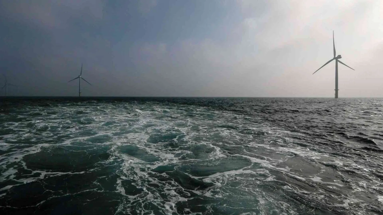 Gli ostacoli imprevisti dell'eolico: renne e pescatori fermano le pale
