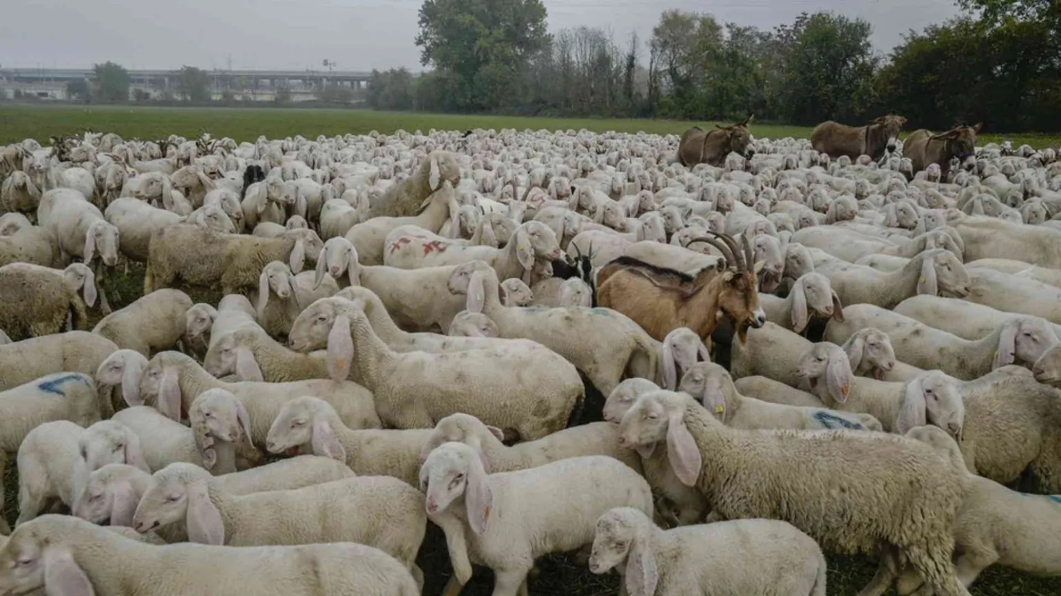 Giornata del Ringraziamento: «Ecologia integrale come stile di vita»