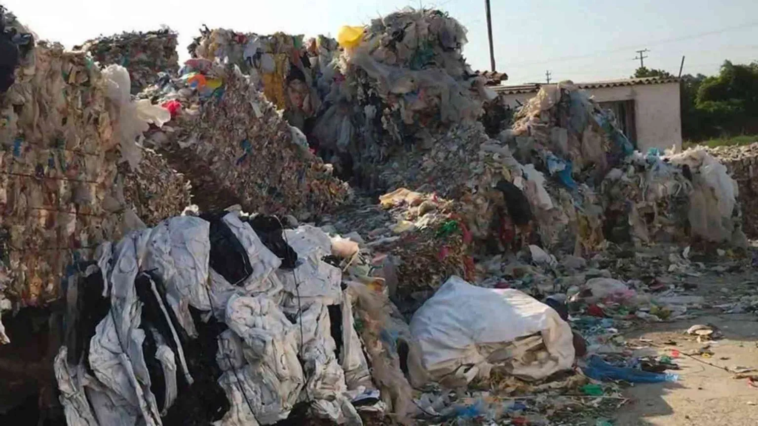 Ecomafie: illegalità quasi una “componente naturale"