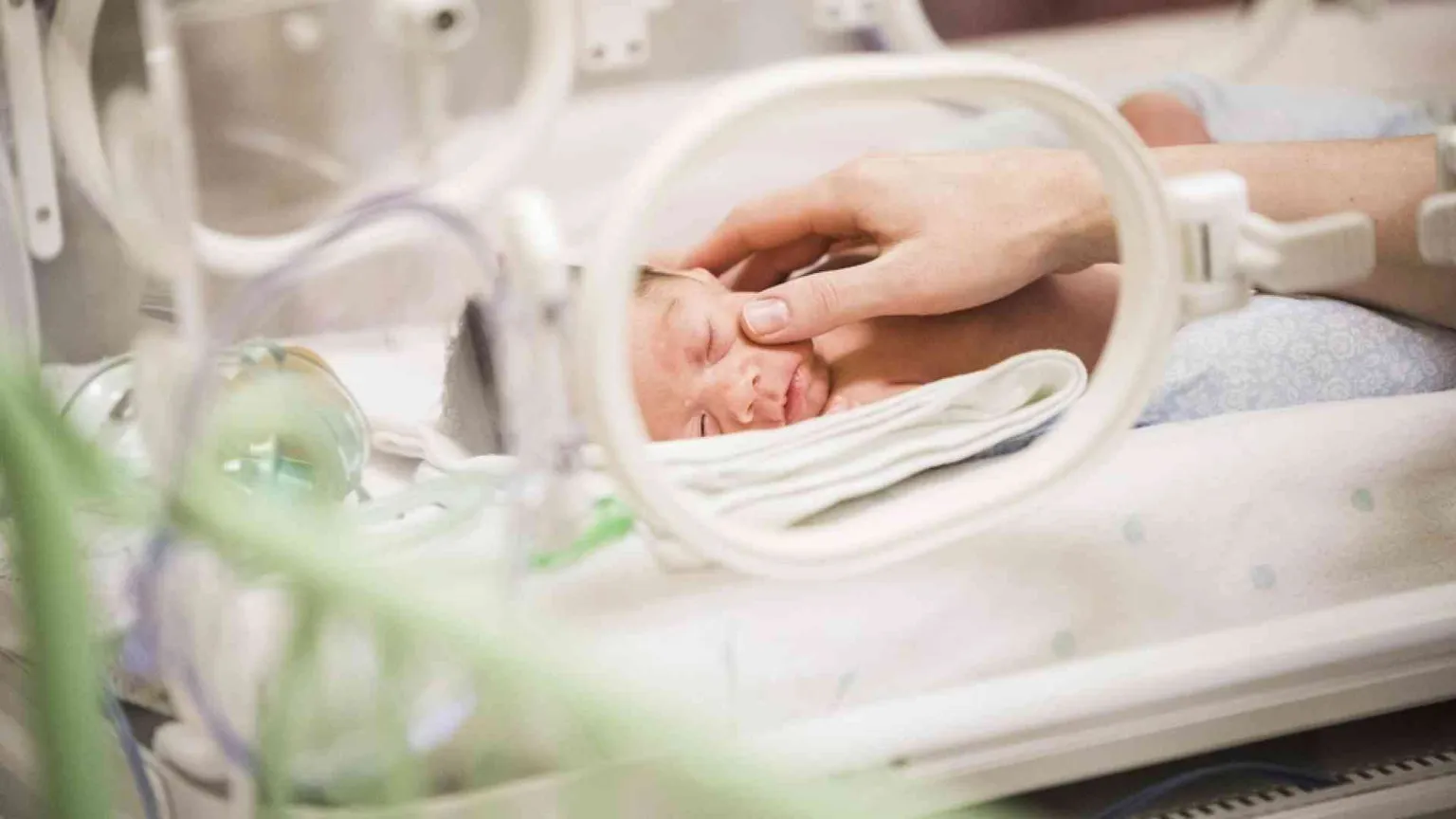 I vescovi: ogni vita, all'inizio o alla fine, sia custodita