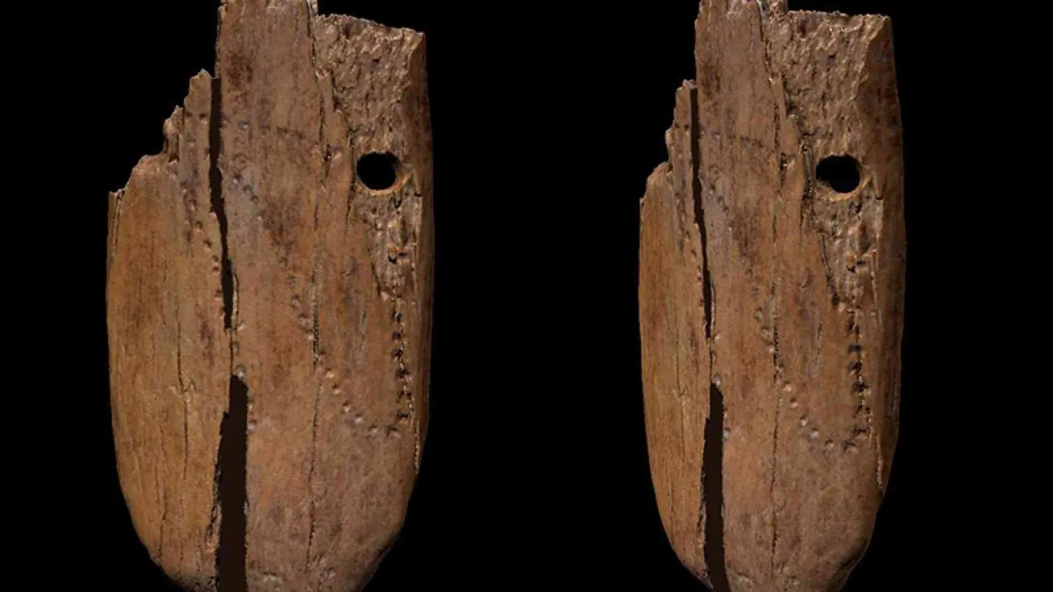 Ai tempi di Neanderthal e mammut: i primi orecchini hanno 42mila anni