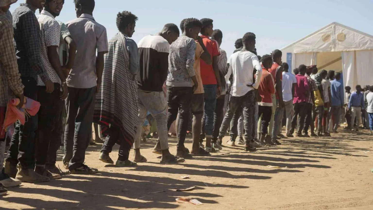 Semafori, Tigrai e bisonti: le guerre affamano con le terre bruciate