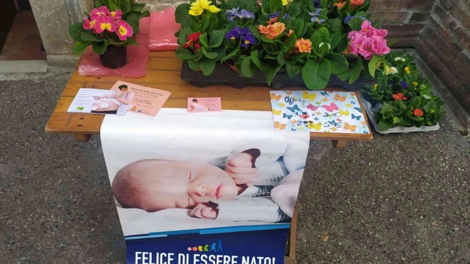 Le Messe in diretta tv e social di domenica 6 febbraio 2022