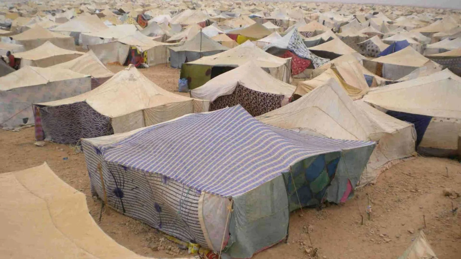 La Spagna scarica il popolo saharawi e trova un'intesa con il Marocco