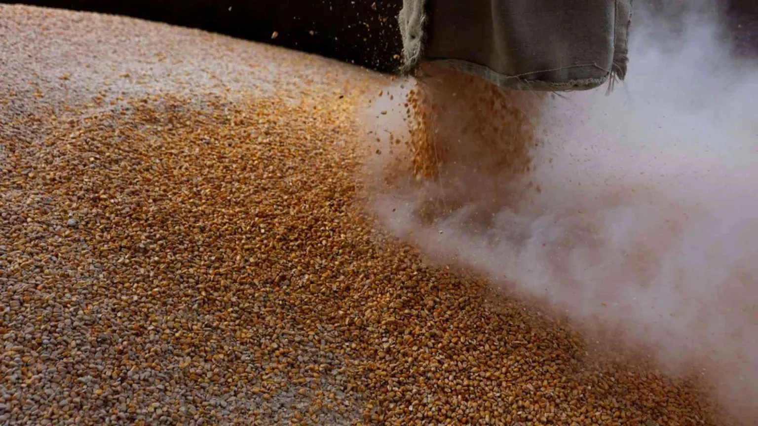 Chi tiene in ostaggio i cereali ucraini e perché non salpano navi da Odessa
