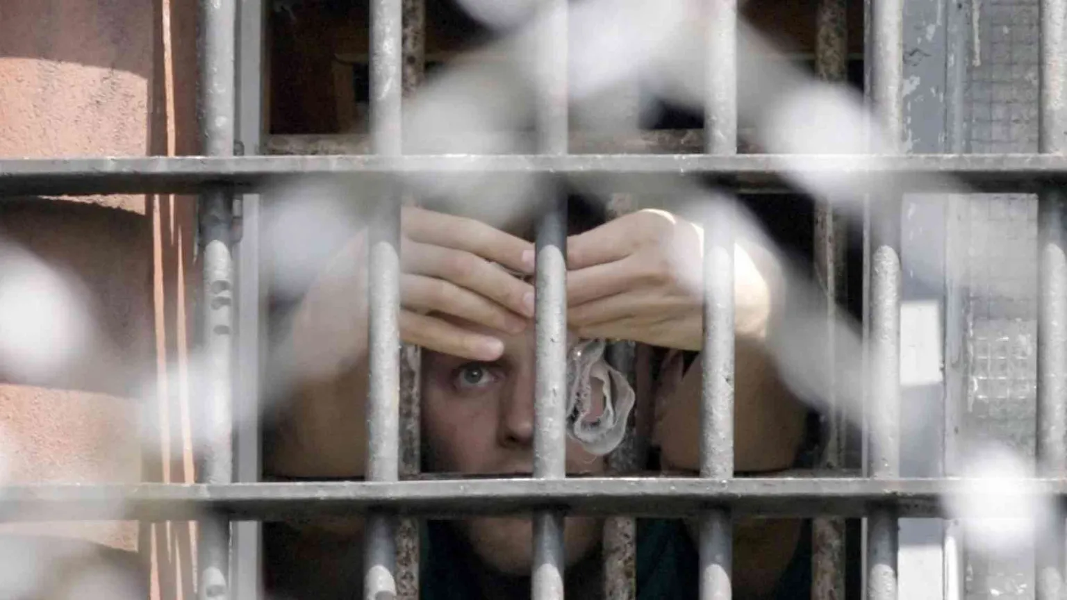Donatella e gli altri suicidi in carcere. «Ecco perché ho chiesto scusa»