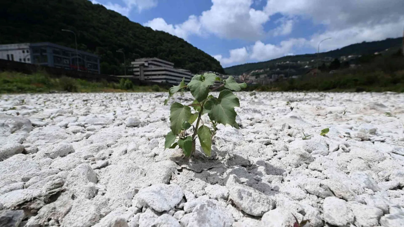 L'estate durerà fino a sei mesi. Milano sarà calda come il Texas