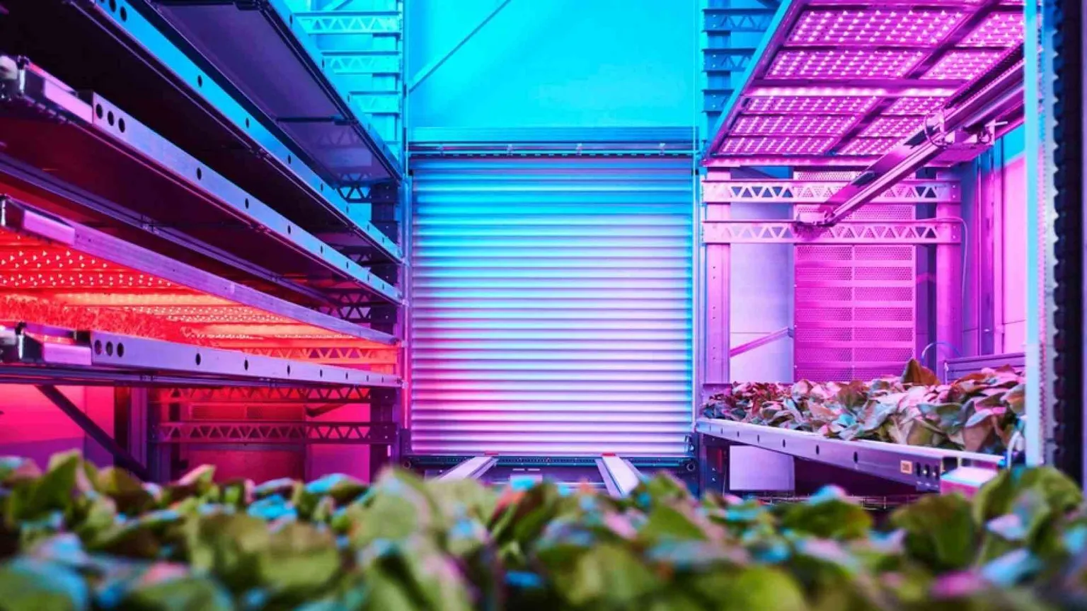 Grazie all'«agricoltura verticale» la terra promette cibo per tutti