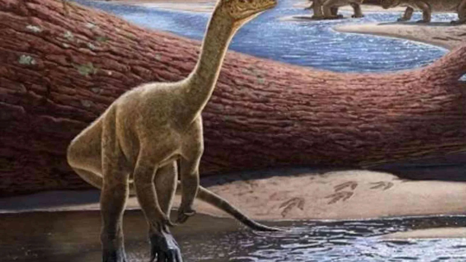 Scoperto il più antico dinosauro africano