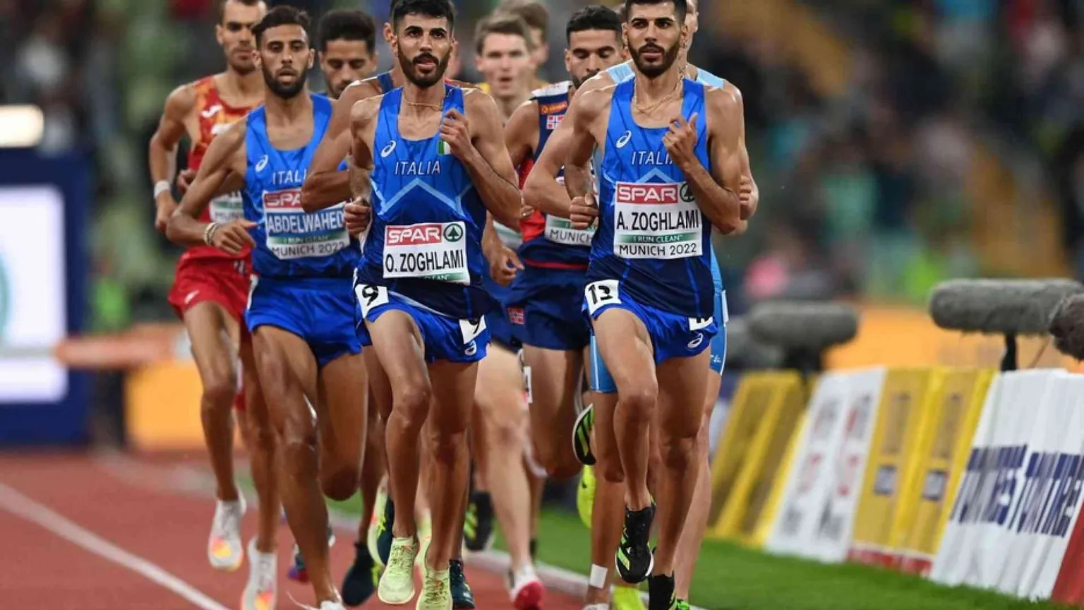 I gemelli Zoghlami, la siepe è azzurra
