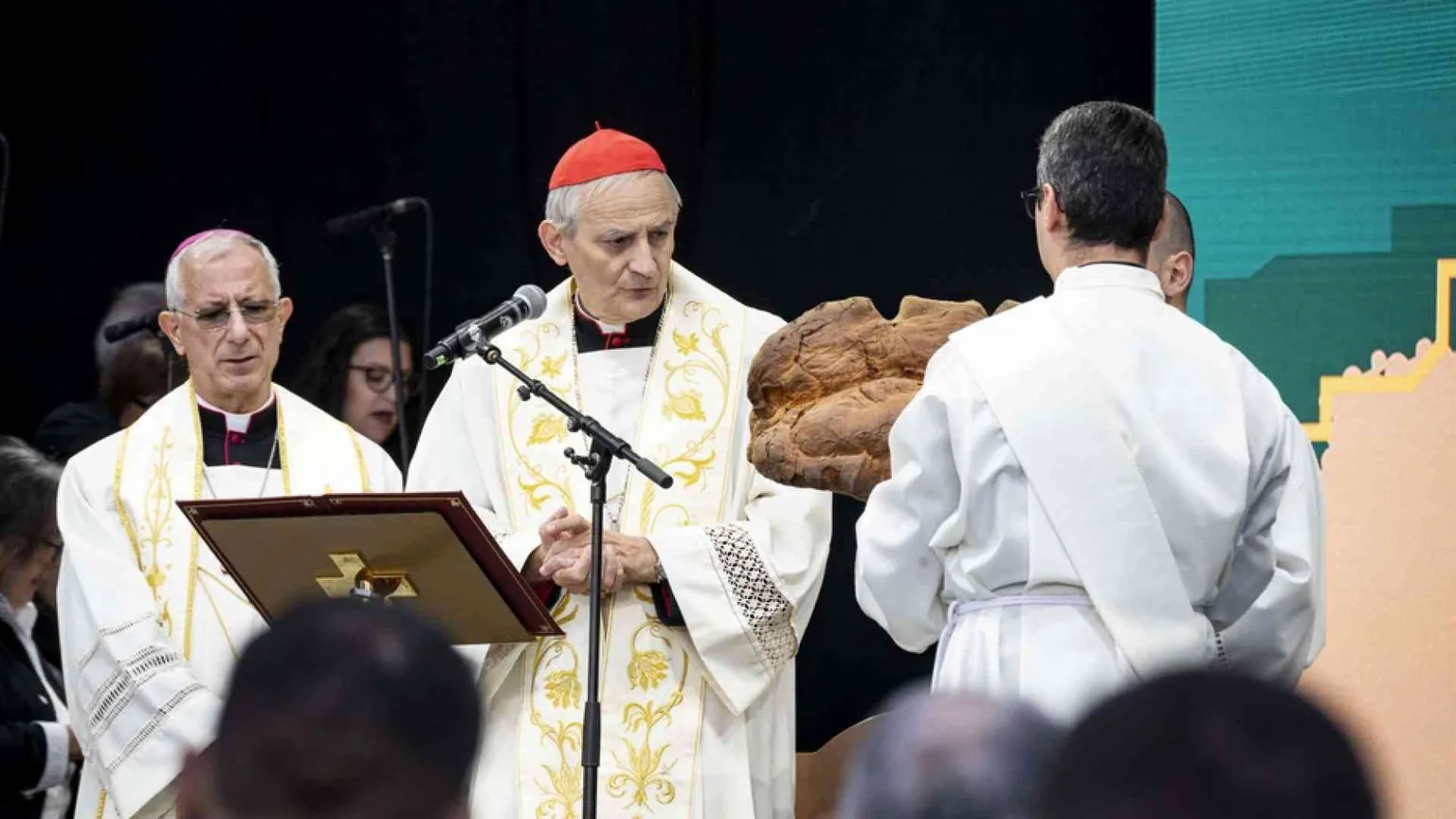 Una Chiesa che ha cura di fragilità e sofferenza
