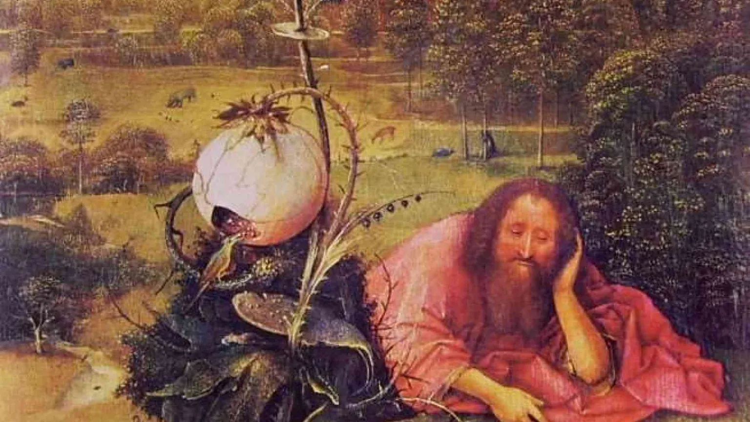 L’annuncio del Battista: il regno dei cieli è vicino