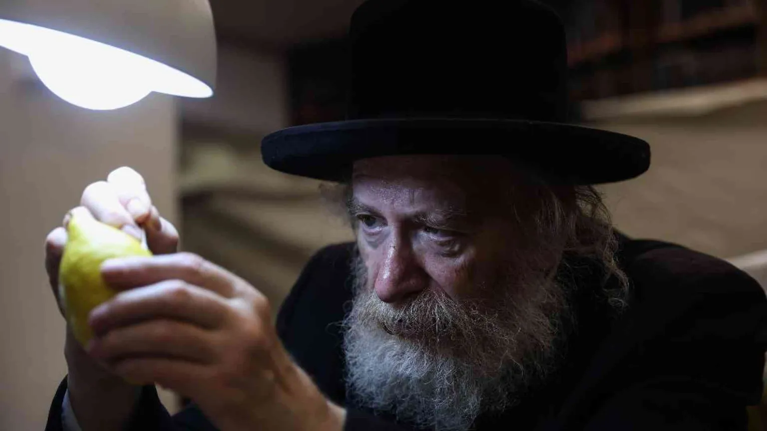Nelle capanne di Sukkot la bellezza abita la precarietà