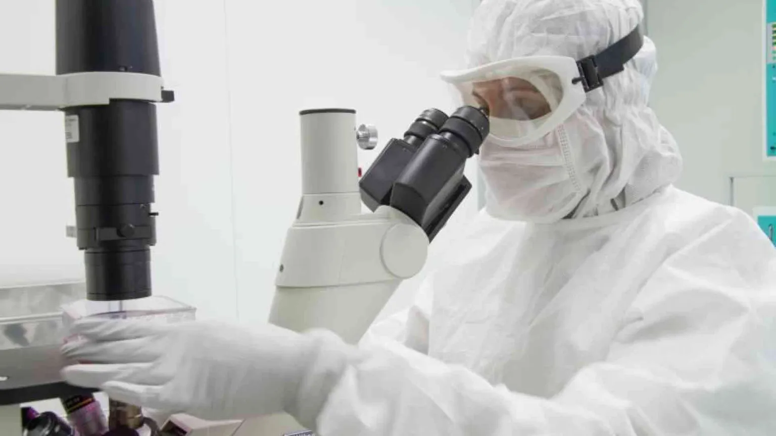 Leucemia, nuove speranze da una terapia italiana