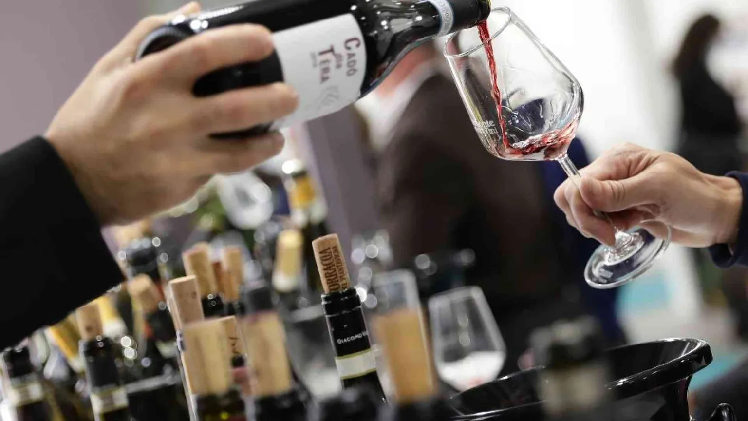 È l'eccesso di alcol che fa male. Si dica chiaro
