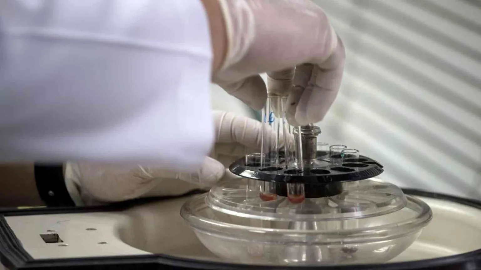 Creato in laboratorio uno pseudo-embrione umano sintetico, un salto nel vuoto?