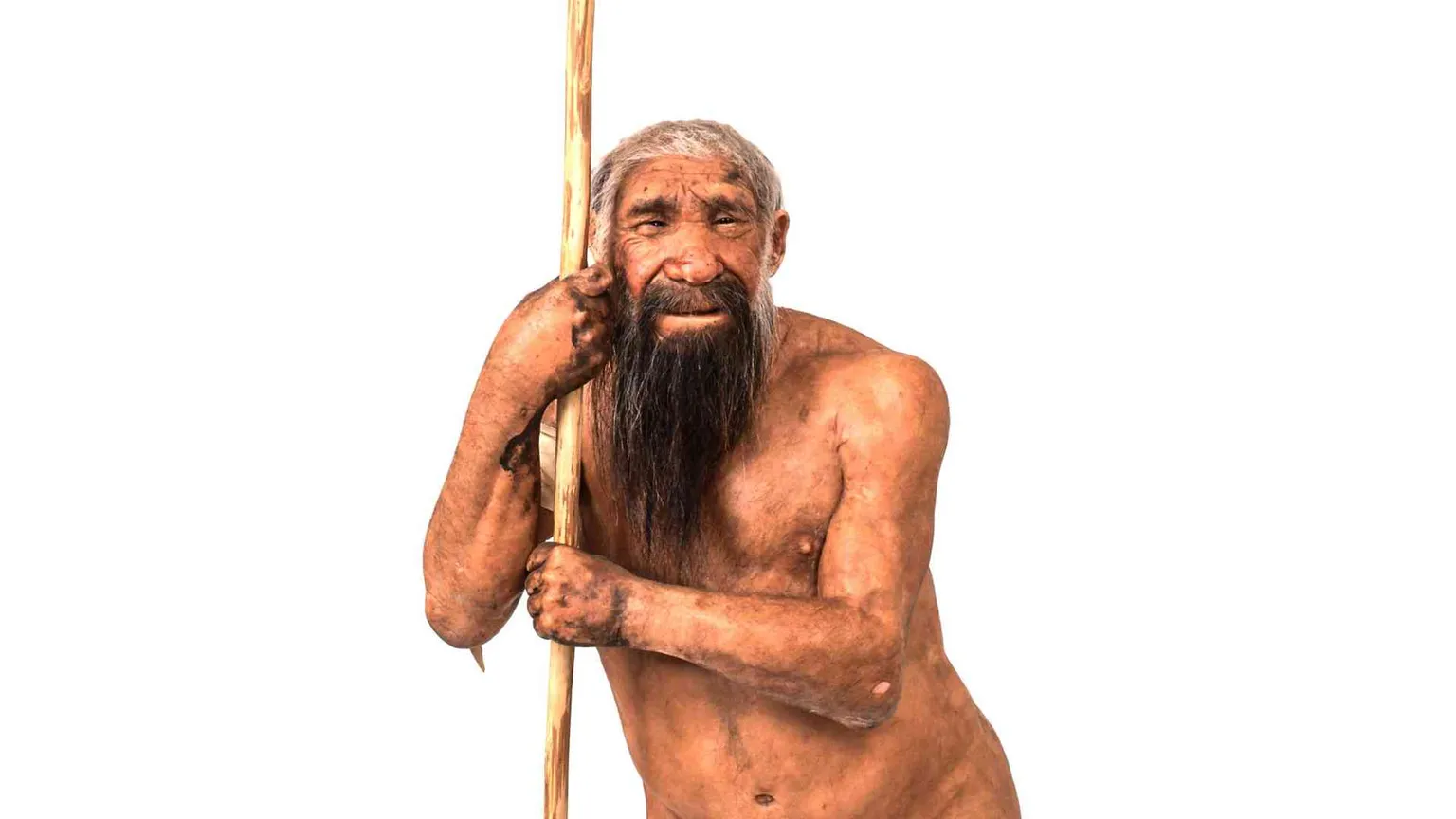Neanderthal, trovati in Francia i "disegni" più antichi