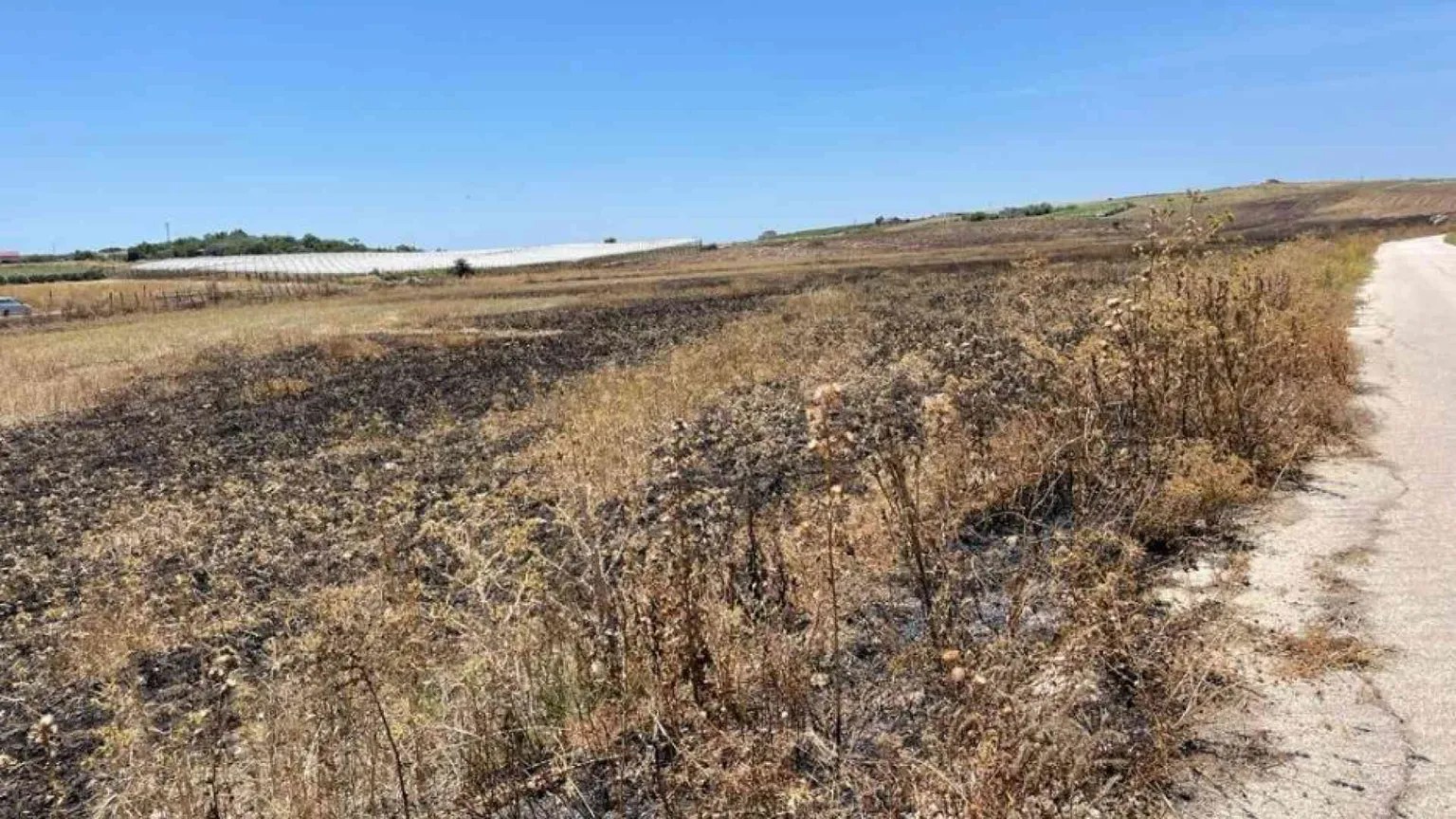 Coop "Livatino" di nuovo nel mirino: incendiati 30 ettari coltivati a grano