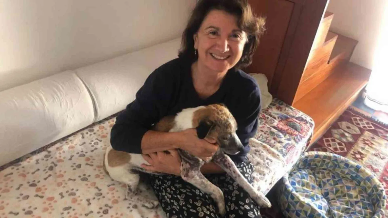Cani e gatti anziché figli? Polemiche su Roccella, ma la questione è aperta