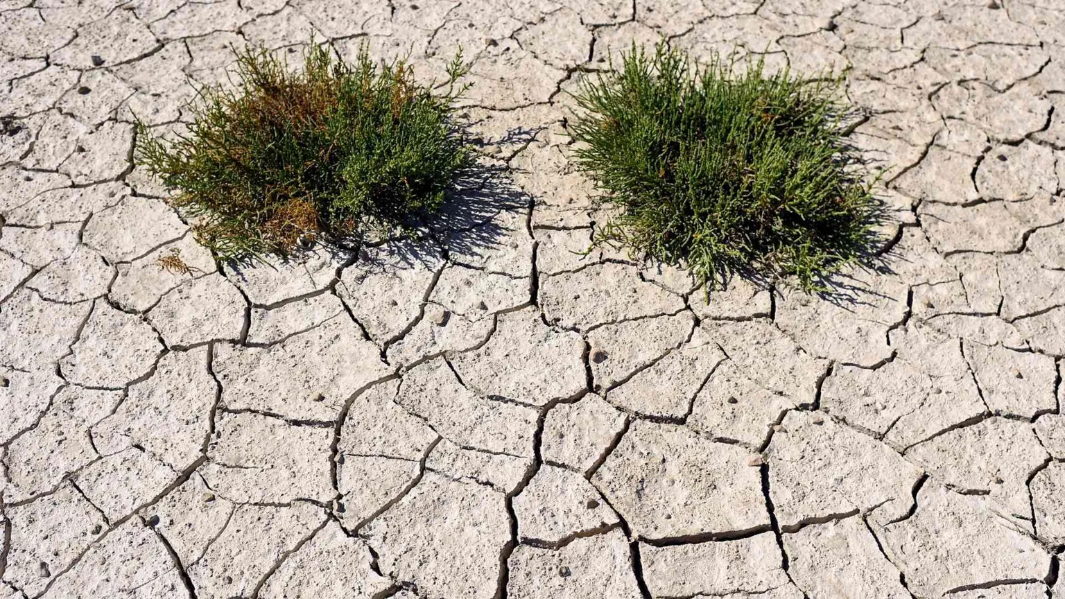 Luglio 2023 è il mese più caldo, superato il limite fissato da Parigi