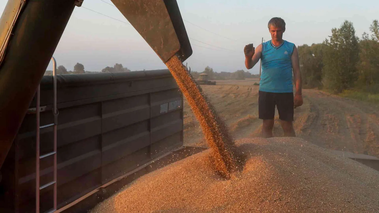 Mykolaiv, la città del grano è in ginocchio
