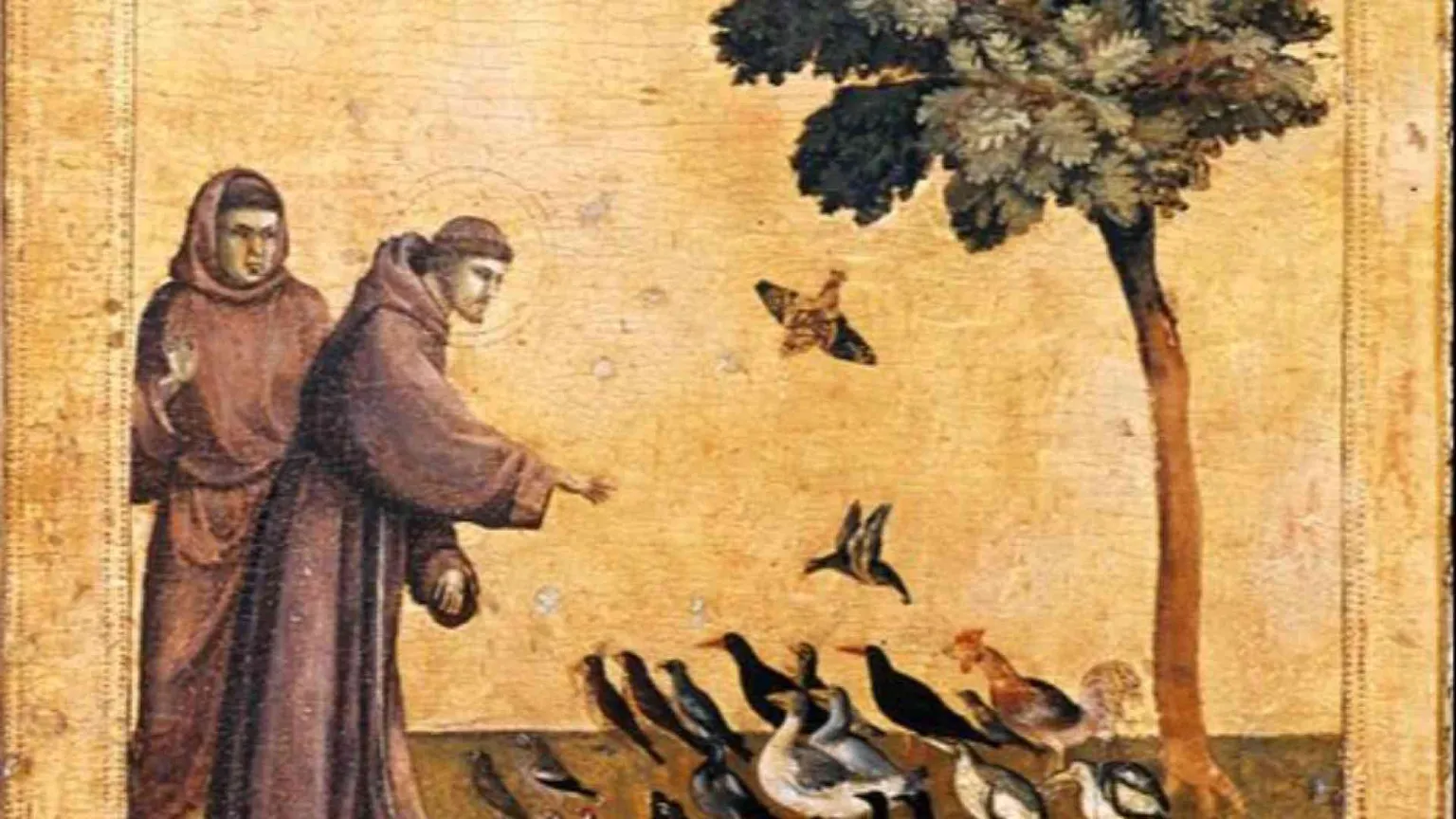 Noi e il creato: sfruttamento o custodia?