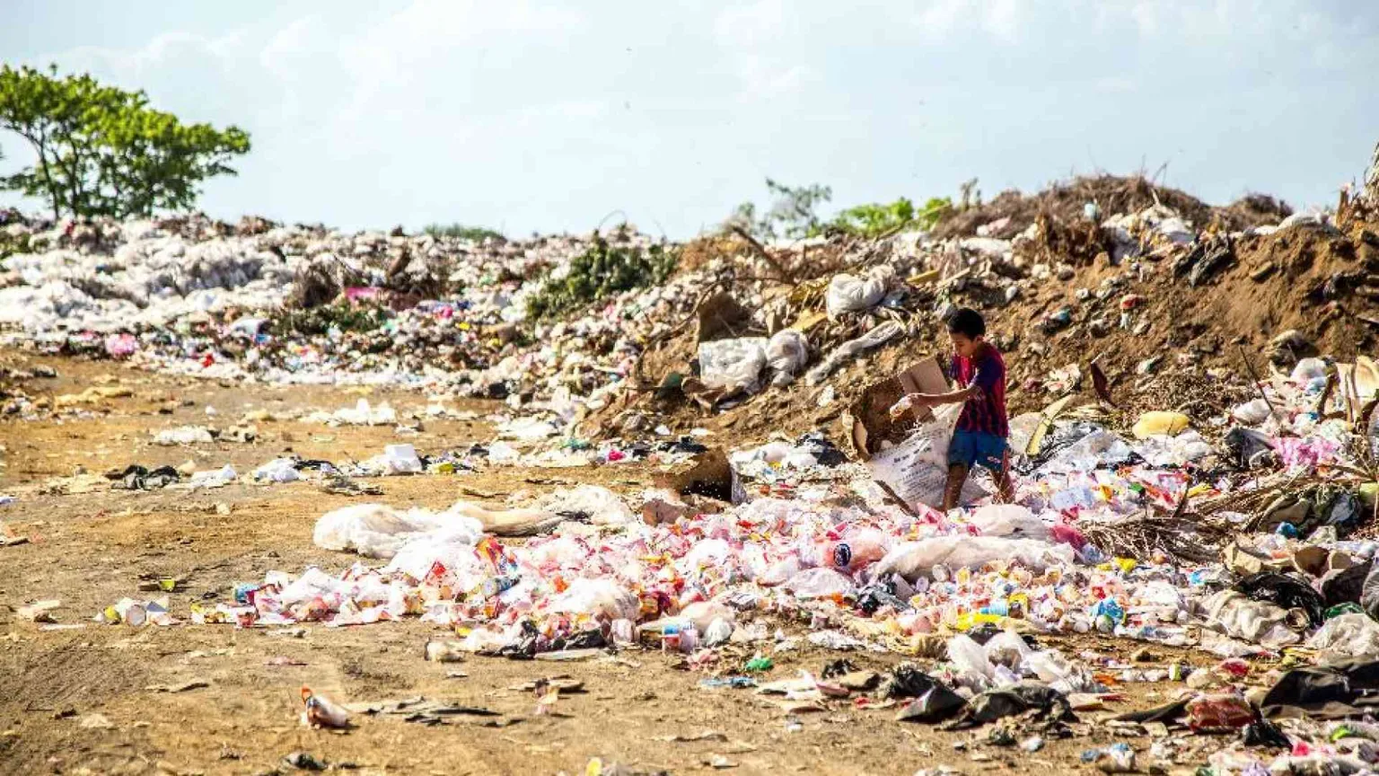 Nell'era degli scarti non può esistere ecologia senza giustizia sociale
