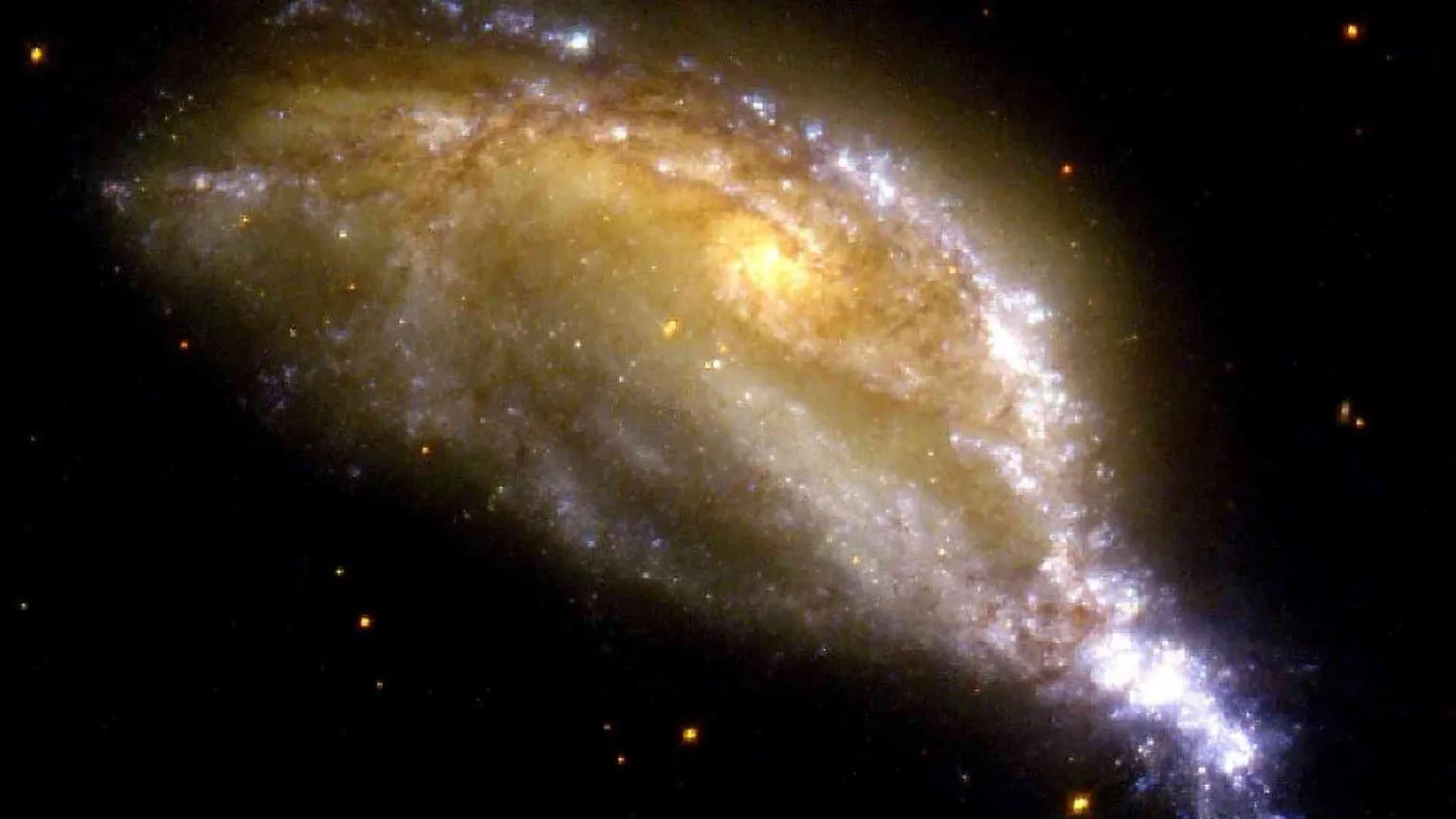 L'evoluzione? «Legge che vale in tutto l'universo»