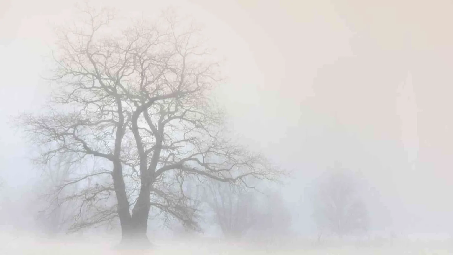 A Piacenza il festival della nebbia. Che può insegnare tante cose