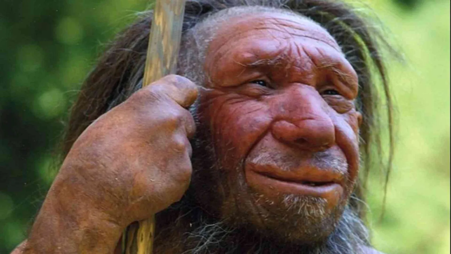 Se siamo mattinieri è perché siamo un po' Neanderthal