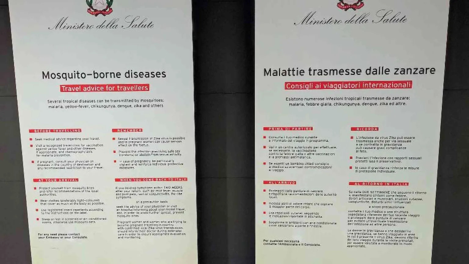 Allerta per la Dengue, ma al momento in Italia la situazione è sotto controllo