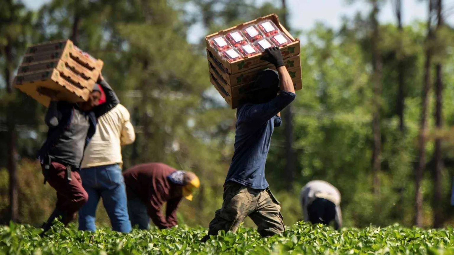 Oltre 200 miliardi di profitti l'anno: chi si arricchisce col lavoro forzato