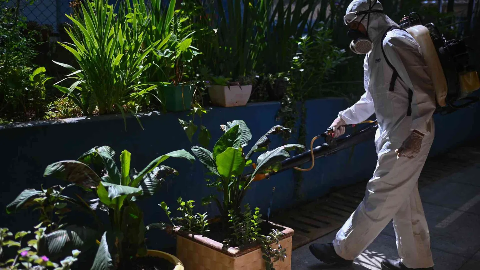 Il Brasile sfiora i due milioni di casi di dengue: il Paese è in emergenza