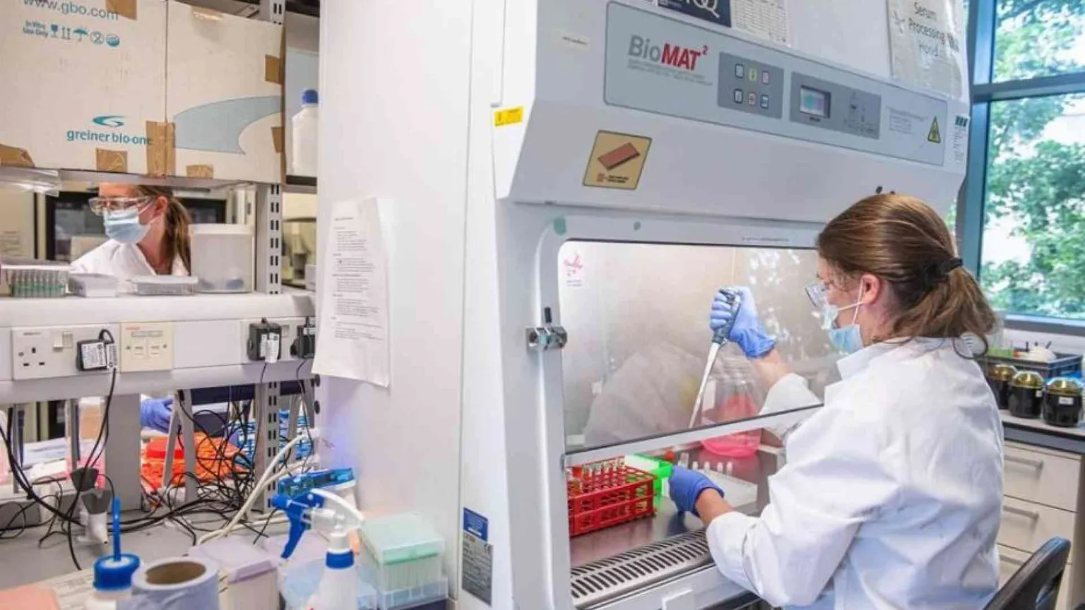Cancro del pancreas: effetti sorprendenti da farmaco mirato più immunoterapia