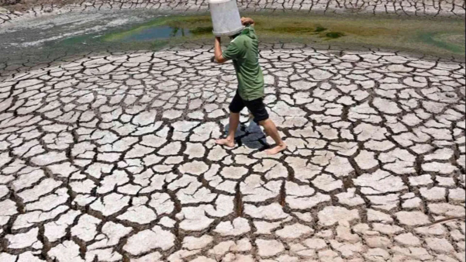 «Marzo il mese più caldo mai visto». Superato il limite di 1,5°C